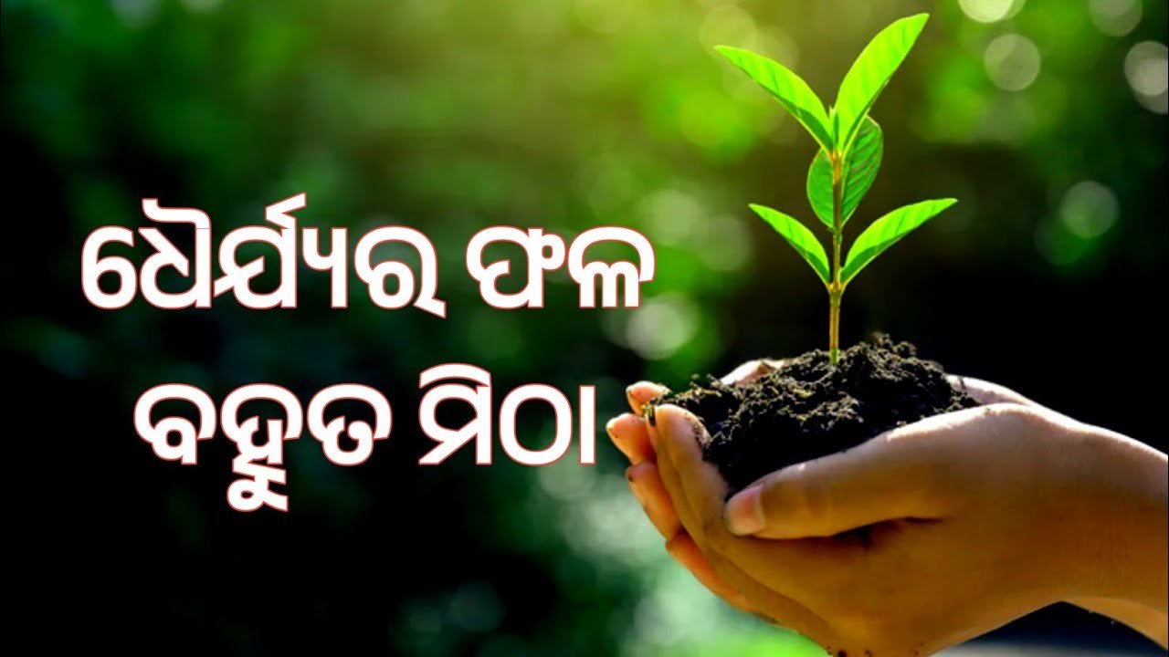 Success Motivational Story in Odia