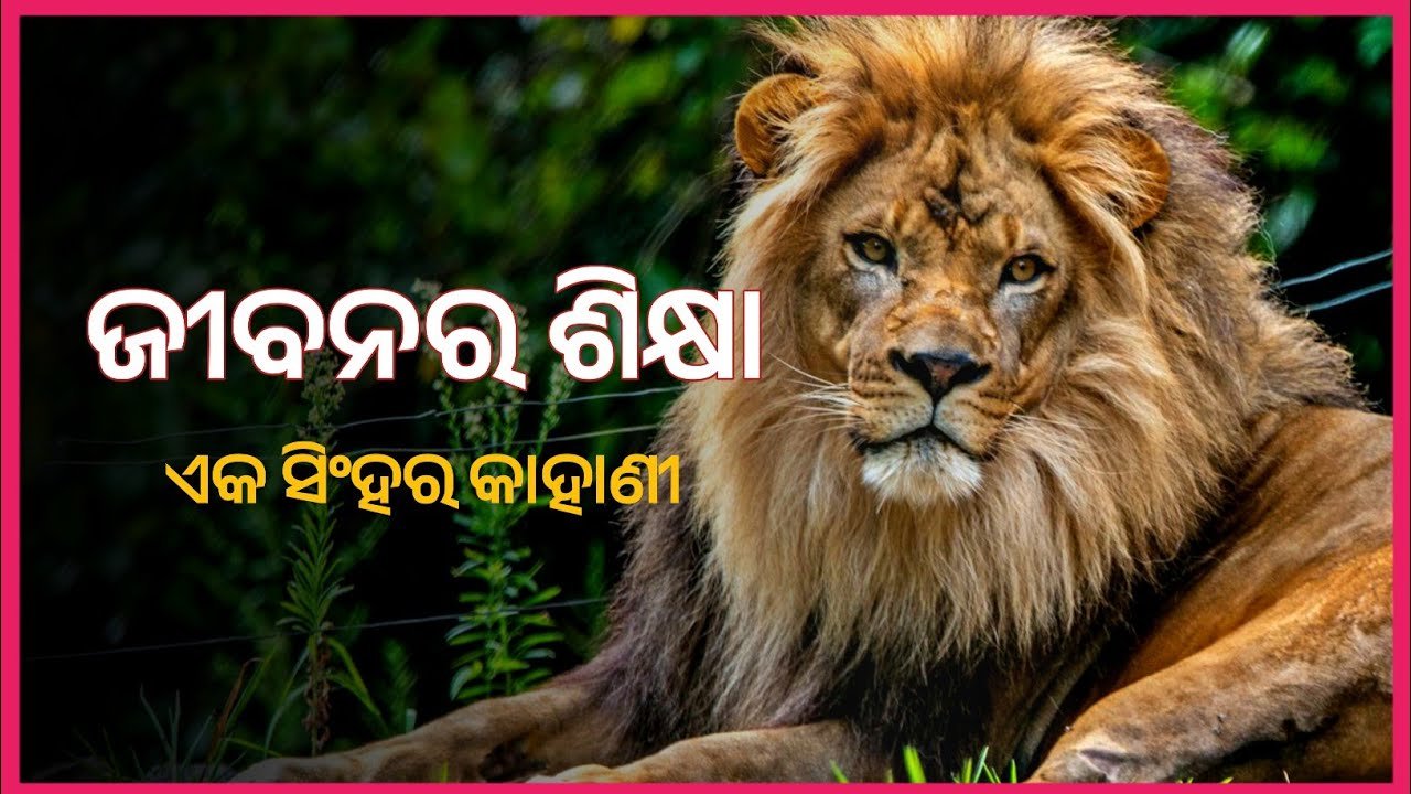 Best Odia Motivational Story