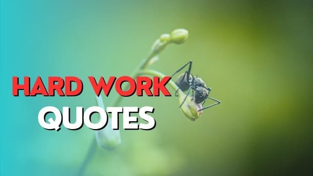 Hard work Quotes in Odia