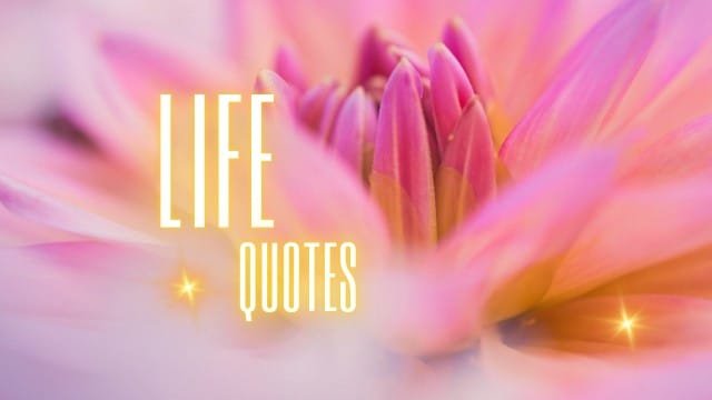 Odia Quotes on Life