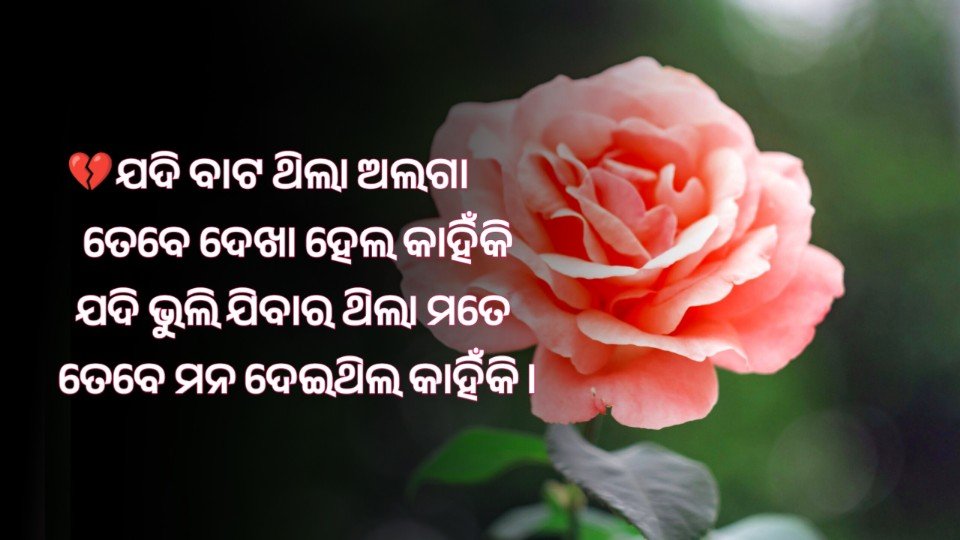 Love Emotional Shayari in Odia