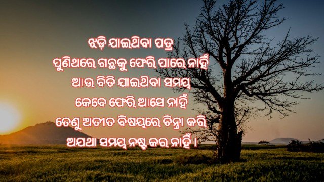 Odia Quotes Text for motivate and guide readers toward achieving success and personal growth.